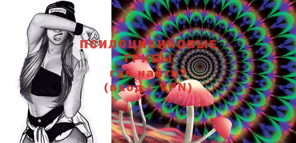 СК Новочеркасск