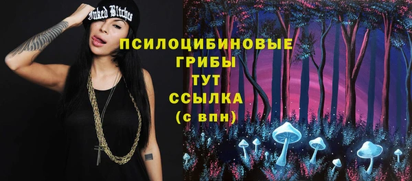 СК Новочеркасск